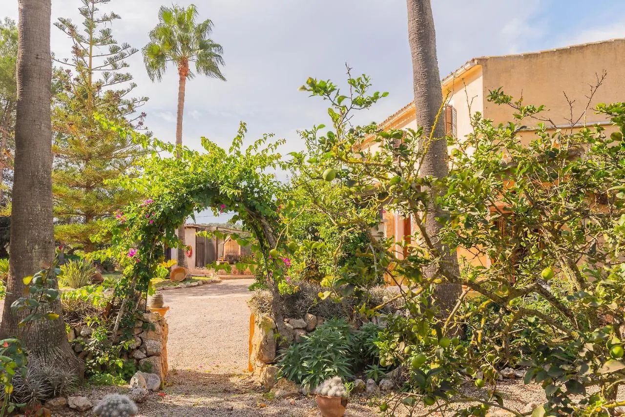 Finca Sitjoles كامبوس إسبانيا