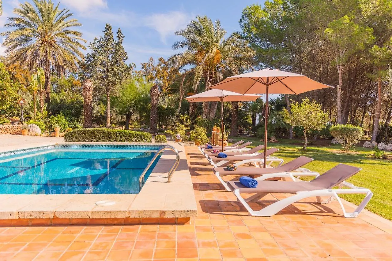 Finca Sitjoles كامبوس