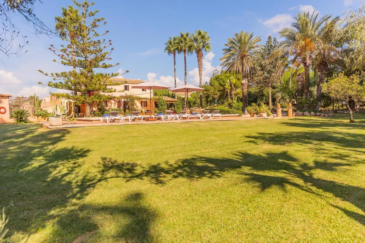 Finca Sitjoles كامبوس إسبانيا