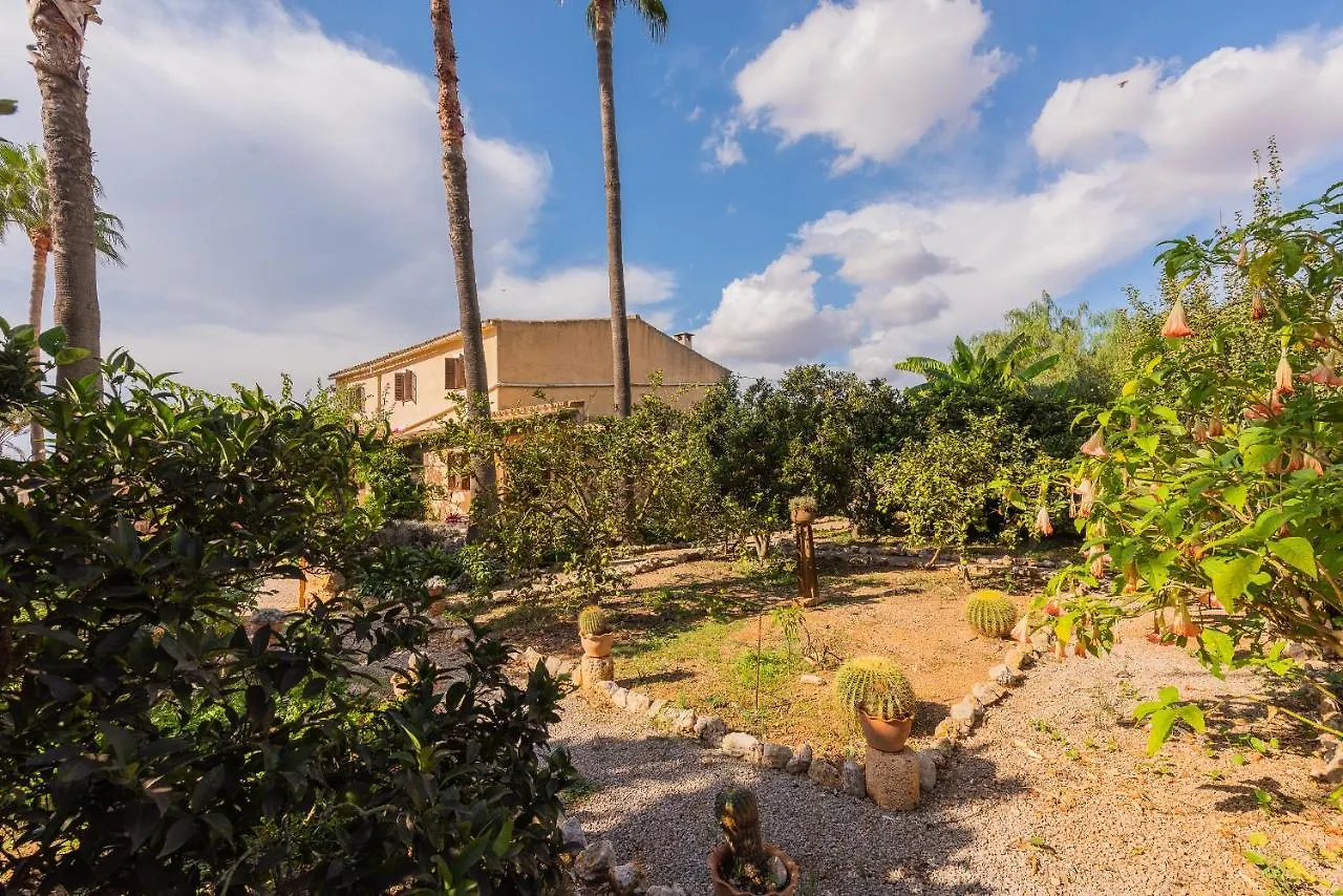 Finca Sitjoles كامبوس 0*,